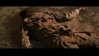 尸骨无存在线观看,探寻神秘失踪之谜  第1张